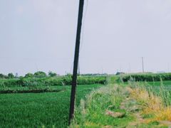 -瑶湖郊野森林公园