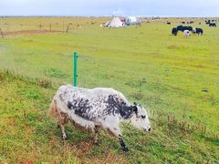 景点-青海湖国家重点风景名胜区