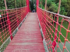 -上海吴淞炮台湾国家湿地公园