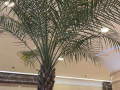 -逸派咖啡 EPARKCOFFEE(广安门店)