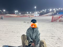 -东北亚滑雪场
