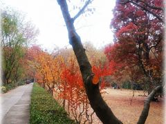 -紫霞湖公园