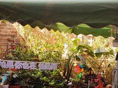 -鱼乐岛餐厅·户外花园主题餐厅