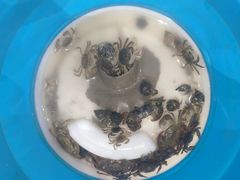 -天津东疆湾沙滩景区