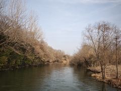 -溱湖国家湿地公园