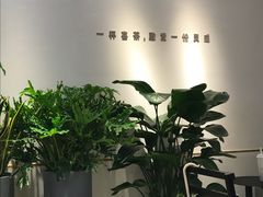 -喜茶(佛山岭南站店)