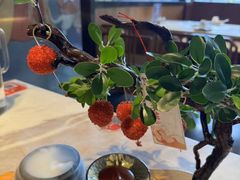 大唐妃子笑-唐猫庭院·千年陕菜(大唐不夜城店)