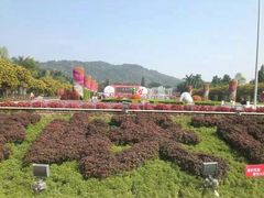 -东南花都花博园