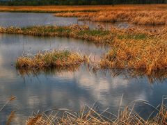 -野鸭湖国家湿地公园