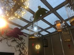 -确喜美味小厨(西单商场兰州店)