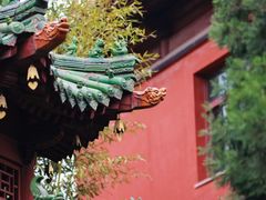 -柏林禅寺