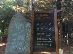 -高尔山公园