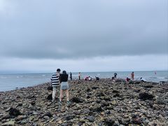 -美人鱼悬崖海景餐厅(鹿嘴山庄店)