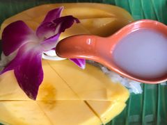 -Jungle Kitchen