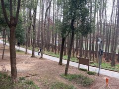 -东湖落雁景区