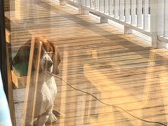 -翠云山银河滑雪场