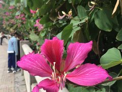 -闽江夜游台江旅游码头