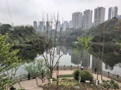 -重庆彩云湖湿地公园