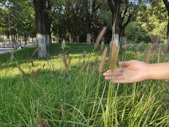 -汉长安城未央宫国家考古遗址公园