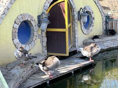 -南宫五洲植物乐园