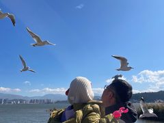 -洱海月湿地公园
