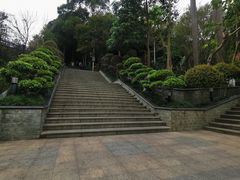 -仙岳公园