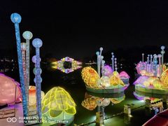 -映月湖公园