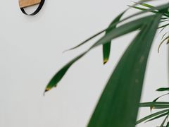 -浆木咖啡馆(湘子庙街店)