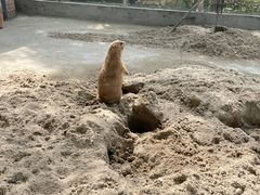 -苏州太湖西山岛开心农场