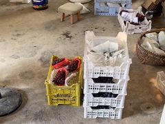 -马陆小张葡萄园农家乐