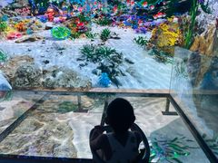 -烟台海昌鲸鲨海洋公园