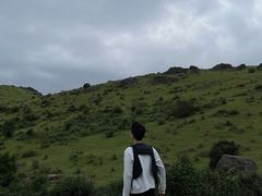 -大姆山草场