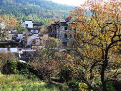 -塔川景区