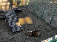 -青藏高原野生动物园