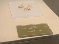 -嘉定博物馆