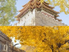 -颐和园