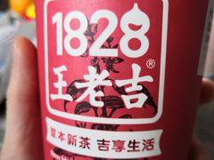 芝麻蛋糕厚乳-1828王老吉·草本新茶(珠江新城地铁站店)