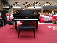 钢琴区-北京王府井天伦王朝酒店