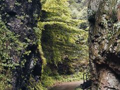 -夏霖九天银瀑风景区
