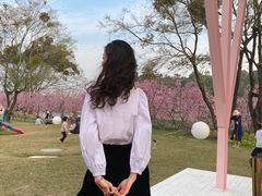 -福建鲤鱼洲酒店