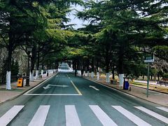 -八大关景区