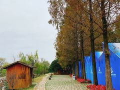 -苏州上方山国家森林公园