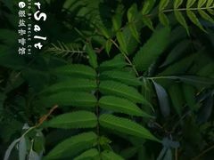 -长春银盐咖啡馆