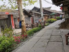 -黄三汤圆