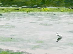 -龙舟池