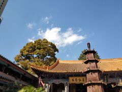 -真庆观