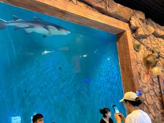 -华夏文旅海洋公园