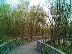 景点-西湖风景区-江洋畈生态公园