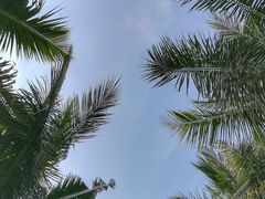 -白沙门生态公园