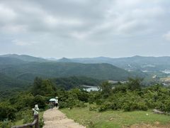 -大姆山草场
